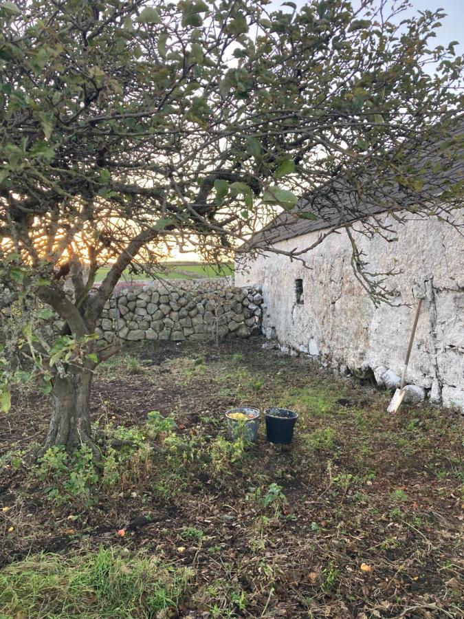 Littles Cottage, Heart Of The Mournes Annalong Exterior photo